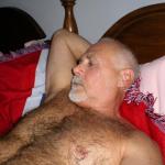 BearNico